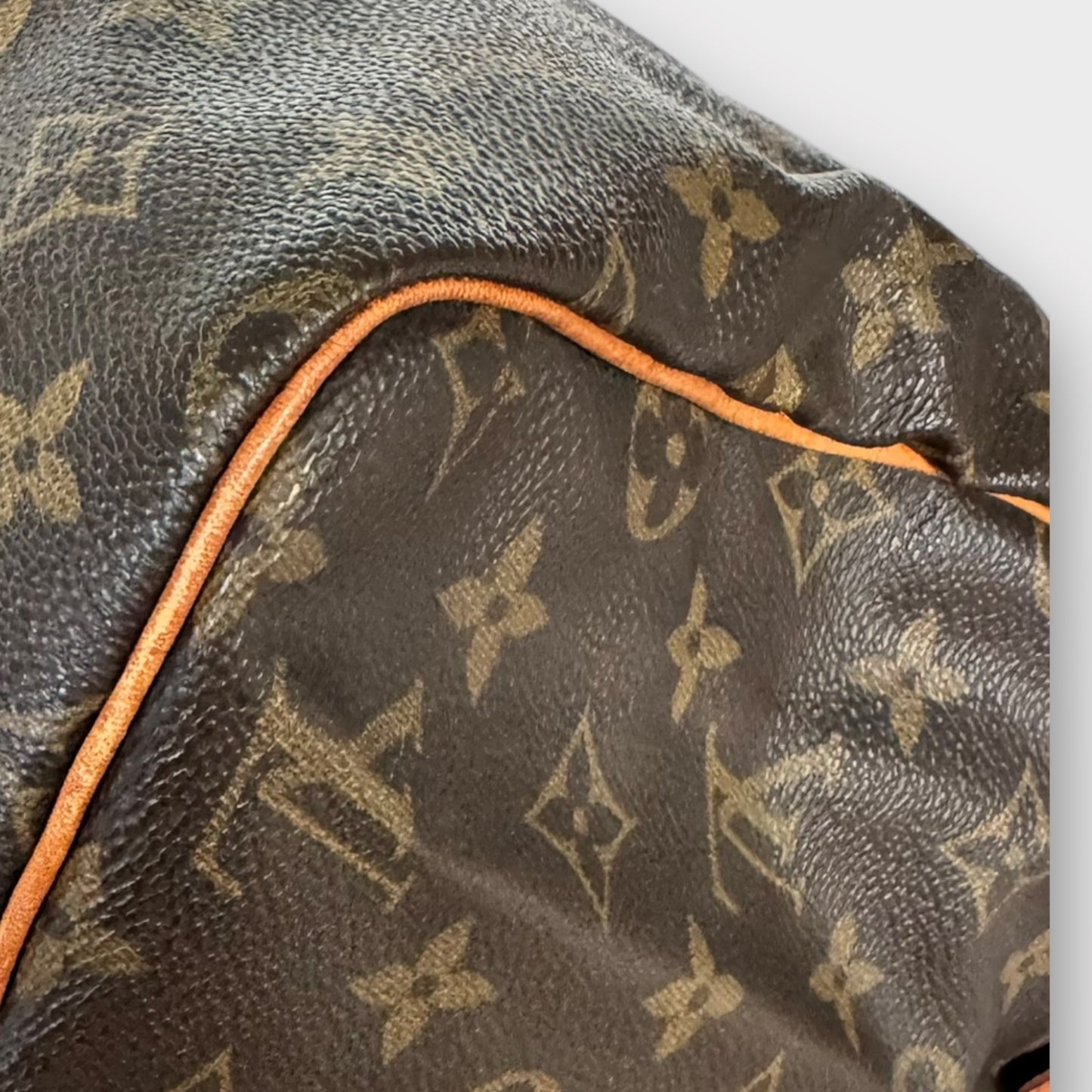 LOUIS VUITTON Speedy 30 Monogramm