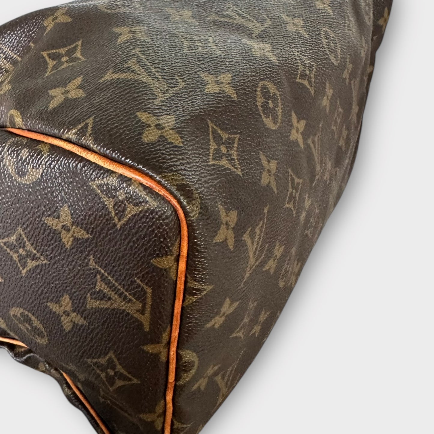 LOUIS VUITTON Speedy 30 Monogramm