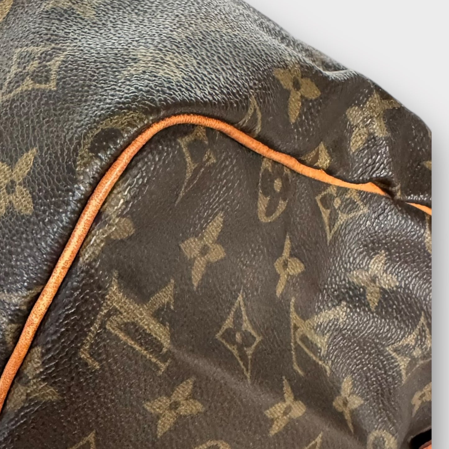 LOUIS VUITTON Speedy 30 Monogram